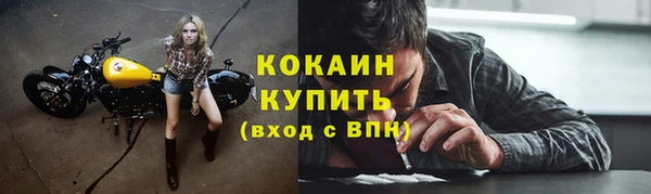 кокс Гусев