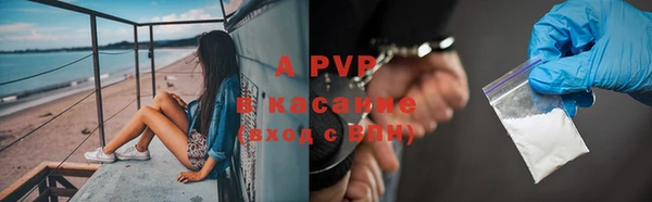 кокс Гусев