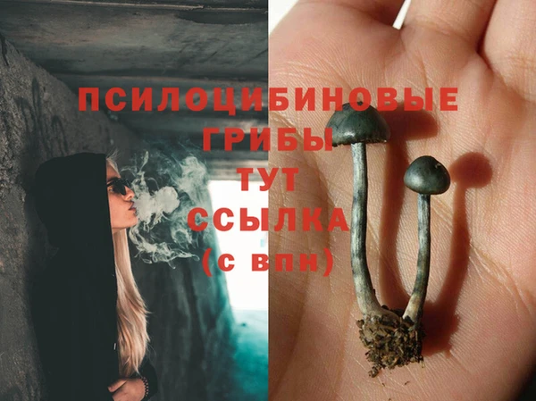 кокаин Гусь-Хрустальный
